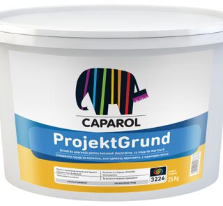 Grund pentru tencuieli ProjektGrund